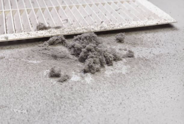 Best Affordable Duct Cleaning Services  in Palos Park, IL