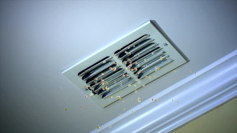 Best Commercial Air Duct Cleaning  in Palos Park, IL