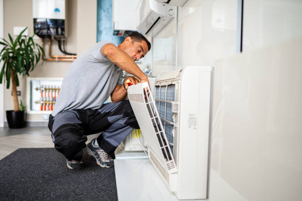 Best Affordable HVAC Duct Cleaning  in Palos Park, IL