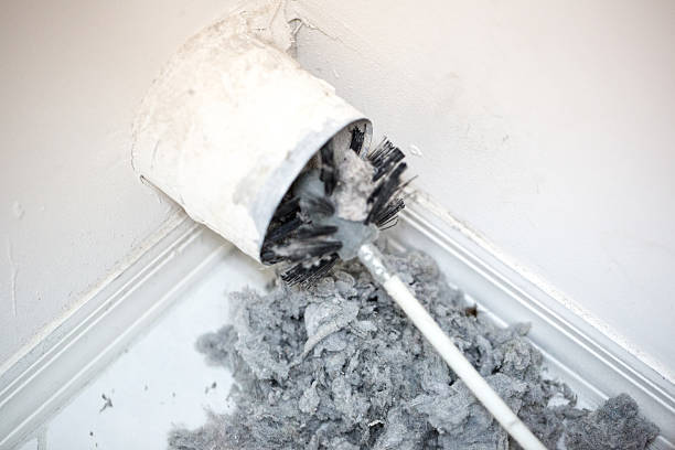 Best Home Air Vent Cleaning  in Palos Park, IL